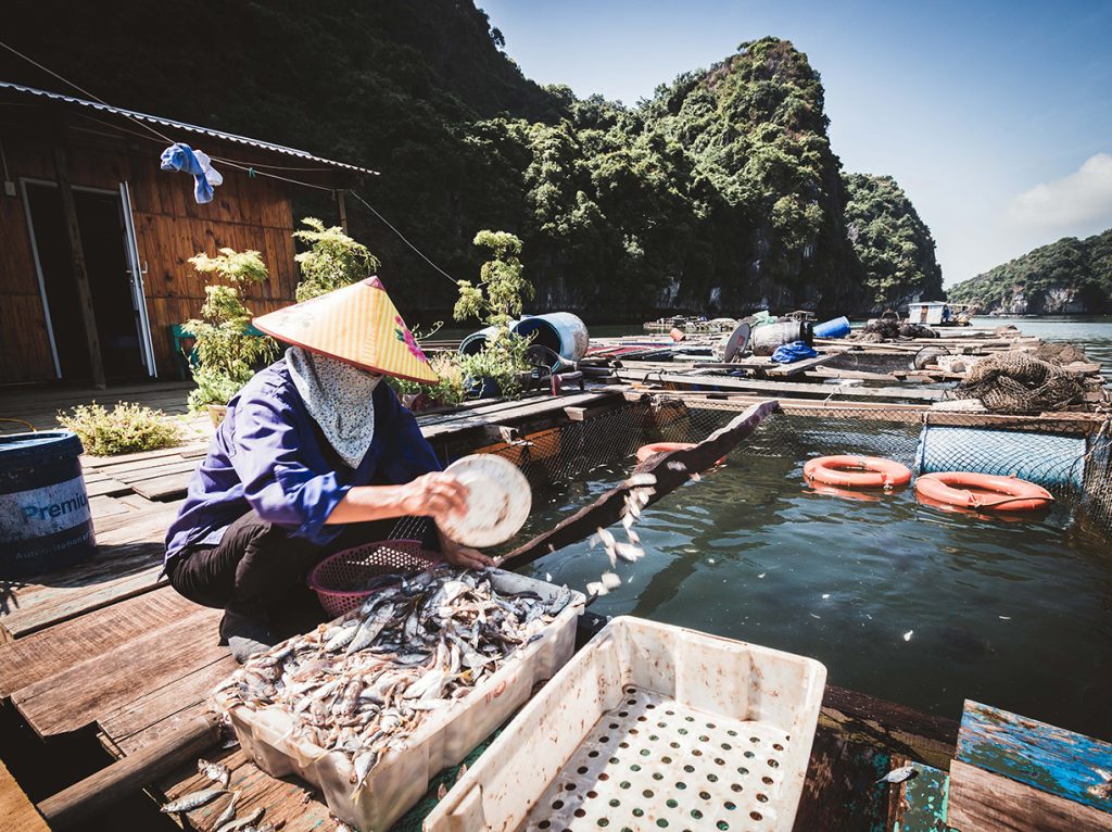 pescadores de la aldea flotante en cat ba en vietnam