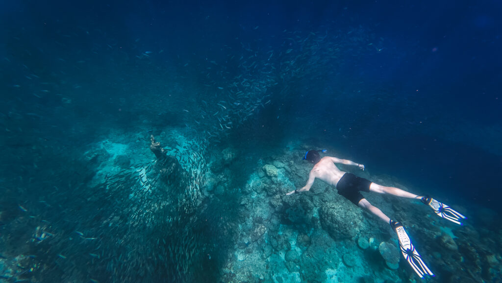 Que ver y que hacer en Moalboal, cebu